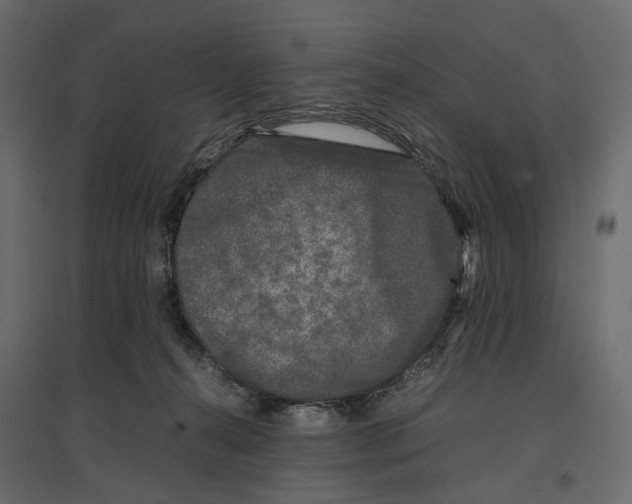 X0000097000272200803071124