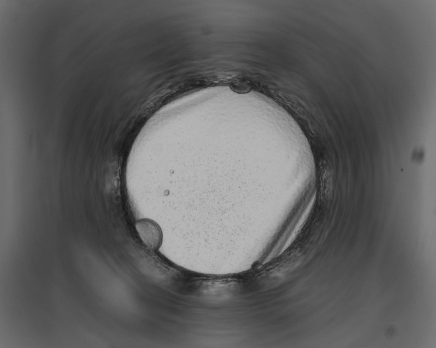X0000097000274200803071124