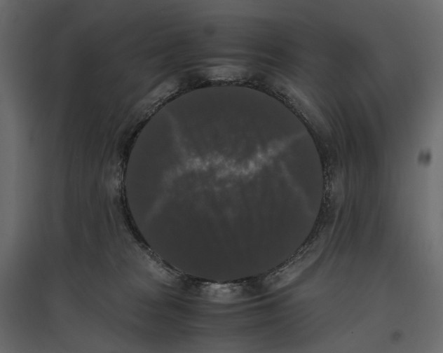 X0000097000277200803071124