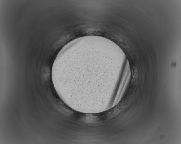 X0000097000278200803071124