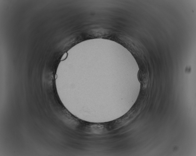 X0000097000279200803071124