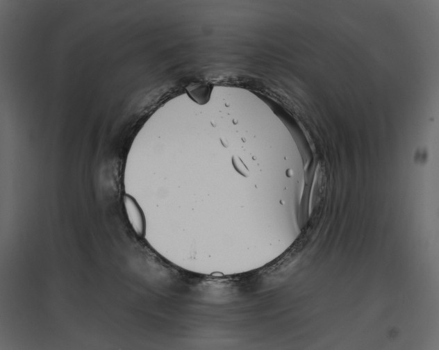 X0000097000280200803071124