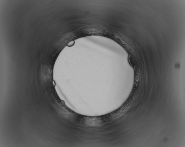 X0000097000281200803071124