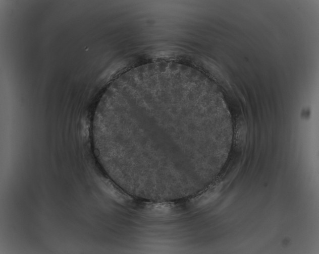 X0000097000282200803071124