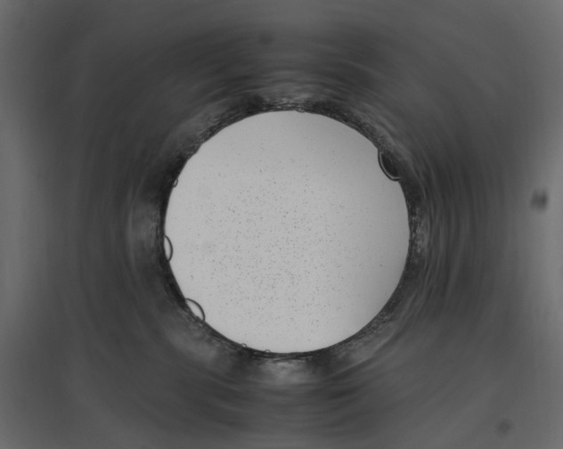 X0000097000283200803071125