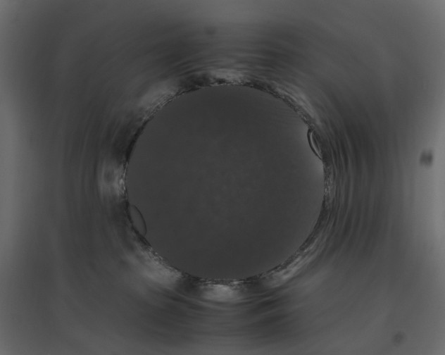 X0000097000285200803071125