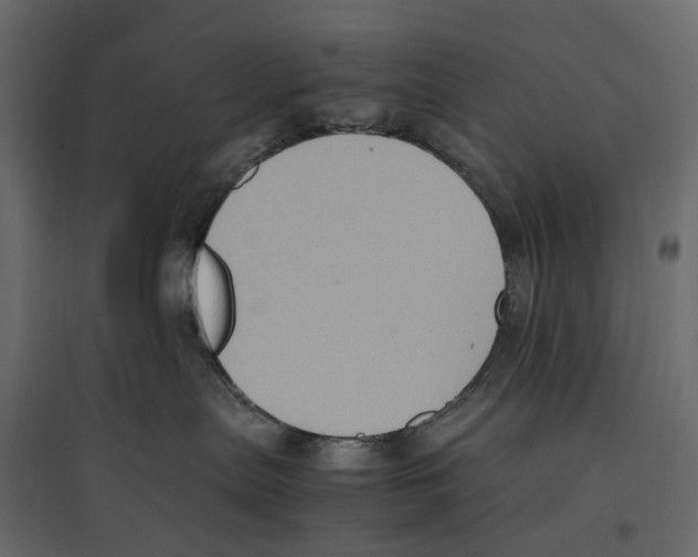 X0000097000287200803071125