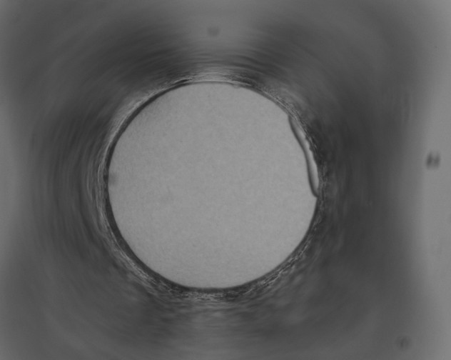 X0000097000289200803071124