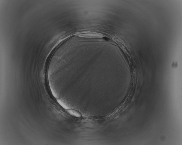 X0000097000290200803071124