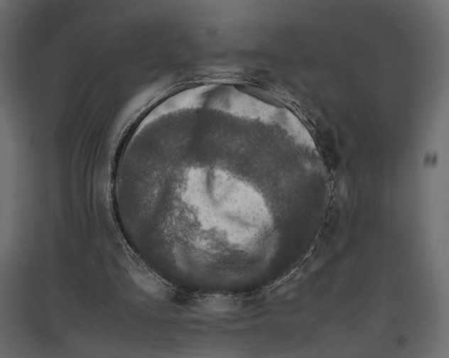 X0000097000293200803071124