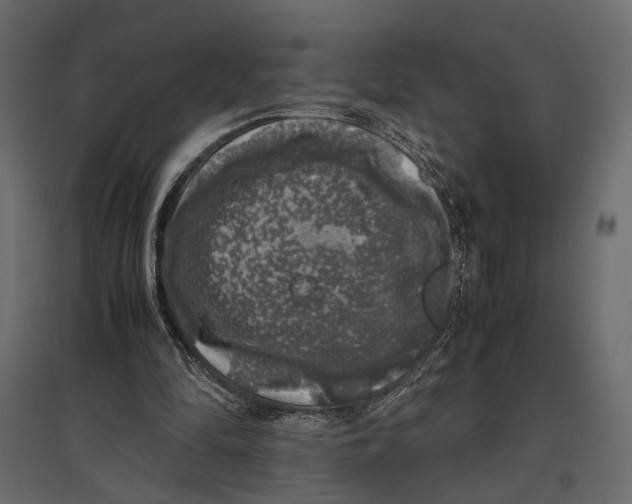 X0000097000294200803071124