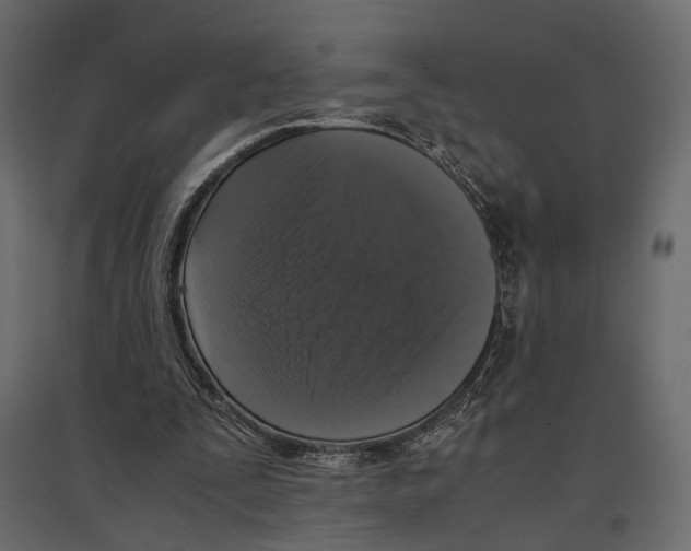 X0000097000295200803071124
