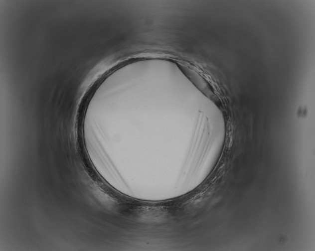 X0000097000296200803071124