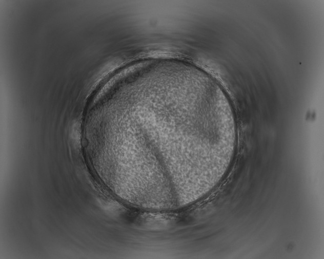 X0000097000297200803071124