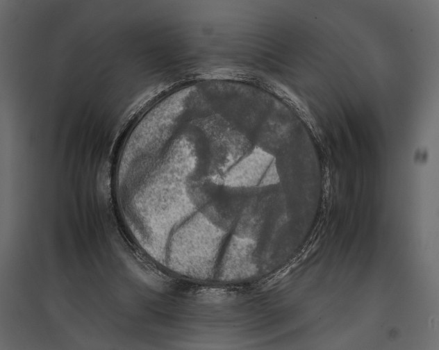X0000097000298200803071124