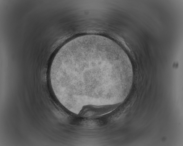 X0000097000299200803071124