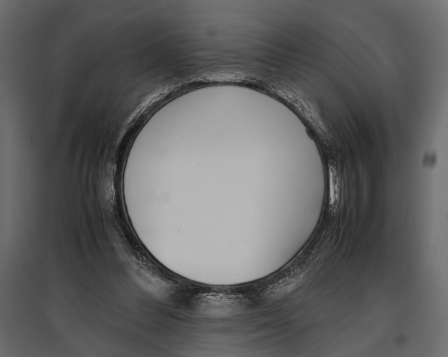 X0000097000300200803071124