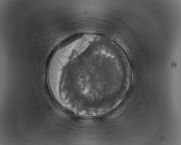X0000097000301200803071124