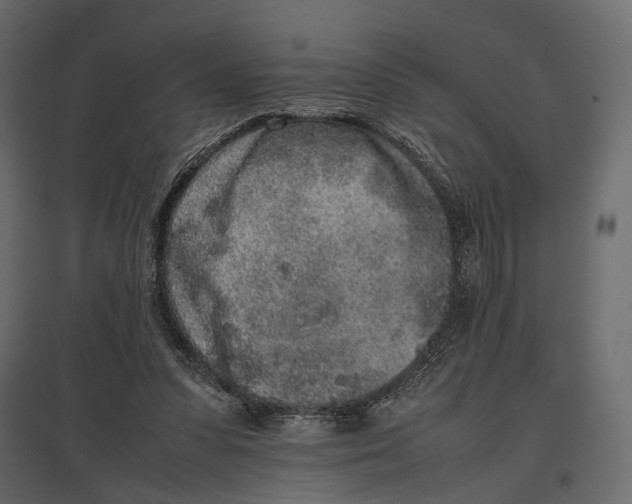 X0000097000303200803071124