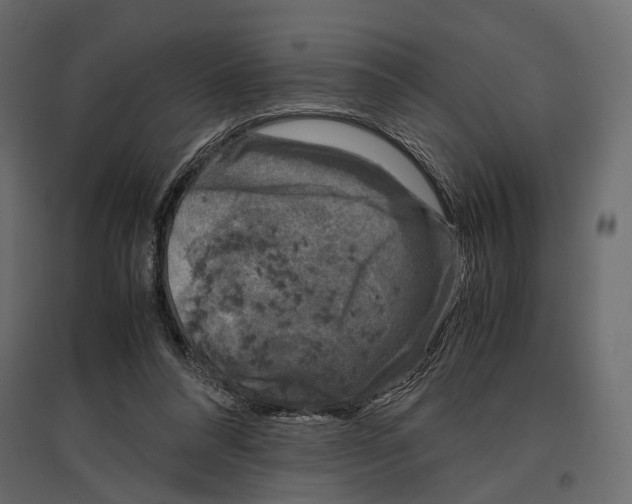 X0000097000304200803071124