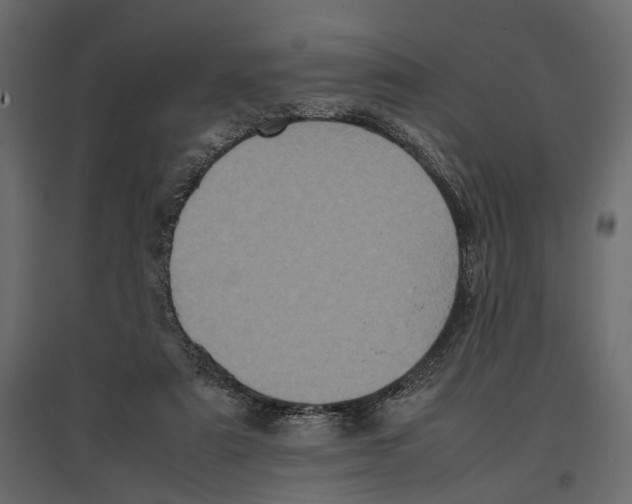 X0000097000307200803071123