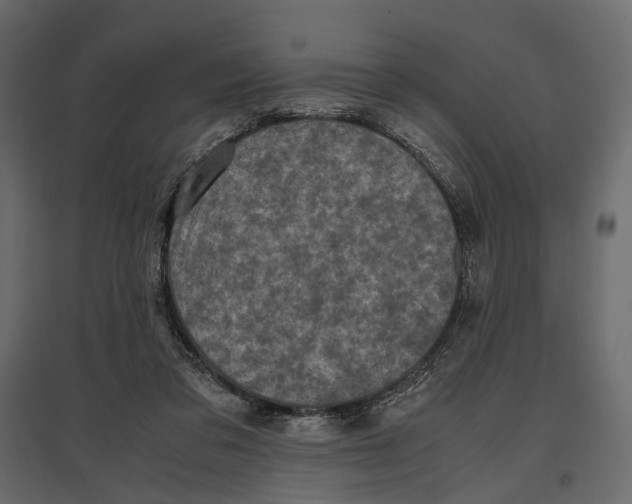 X0000097000309200803071123