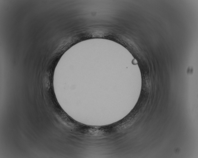X0000097000311200803071123