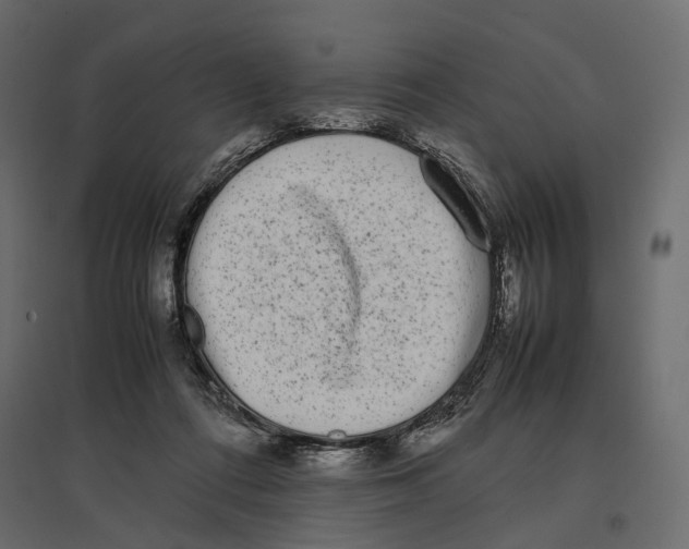 X0000097000312200803071123