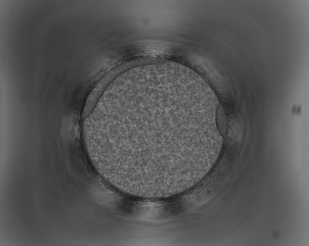 X0000097000313200803071123