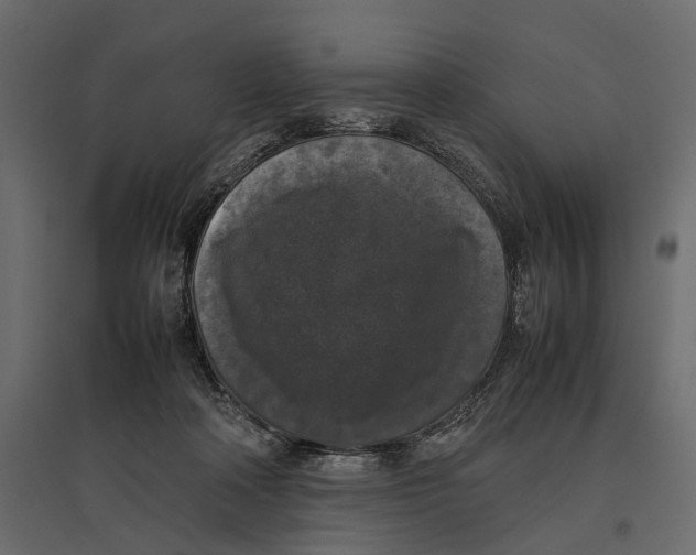 X0000097000314200803071123