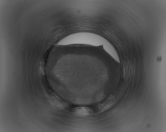 X0000097000316200803071123