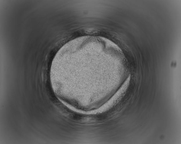 X0000097000319200803071123
