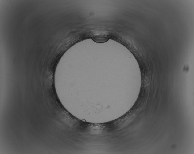 X0000097000321200803071123