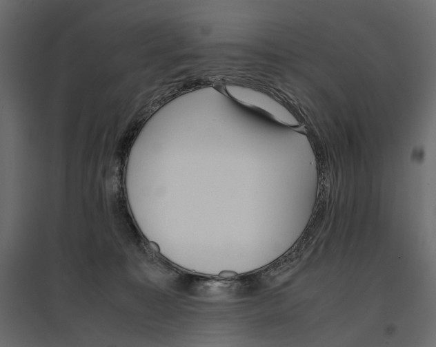 X0000097000323200803071123