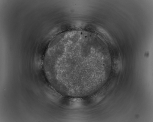 X0000097000324200803071123