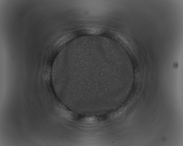 X0000097000325200803071123