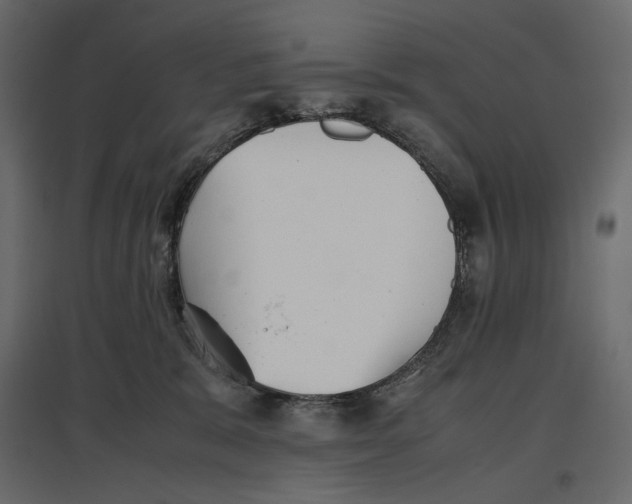 X0000097000327200803071123