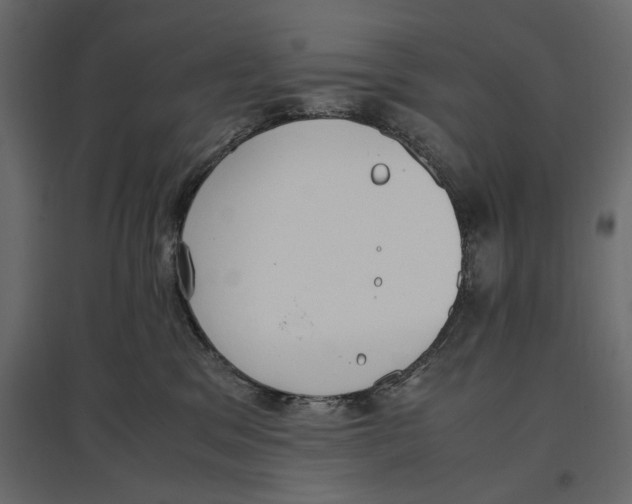 X0000097000329200803071123