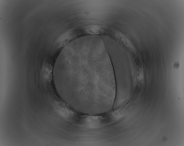 X0000097000332200803071123