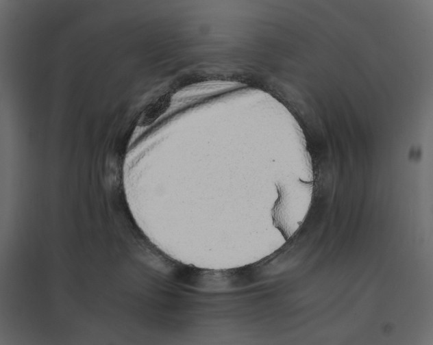 X0000097000335200803071123