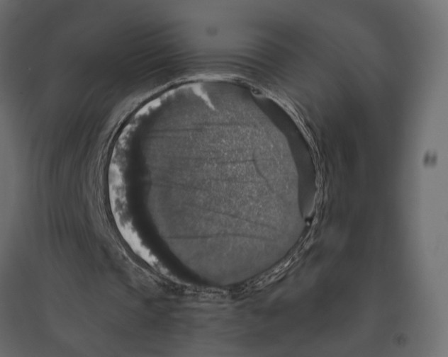 X0000097000337200803071122