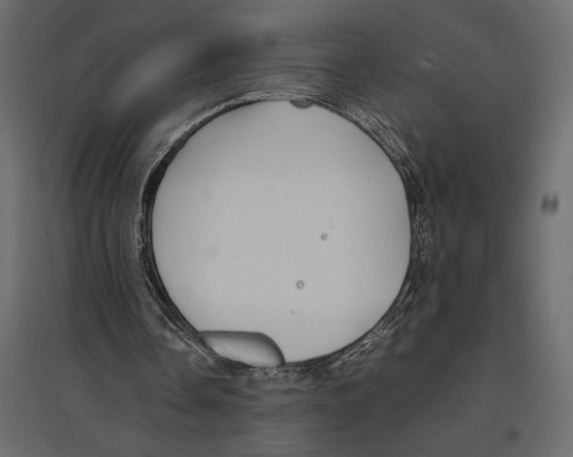 X0000097000338200803071122