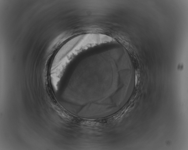 X0000097000339200803071122