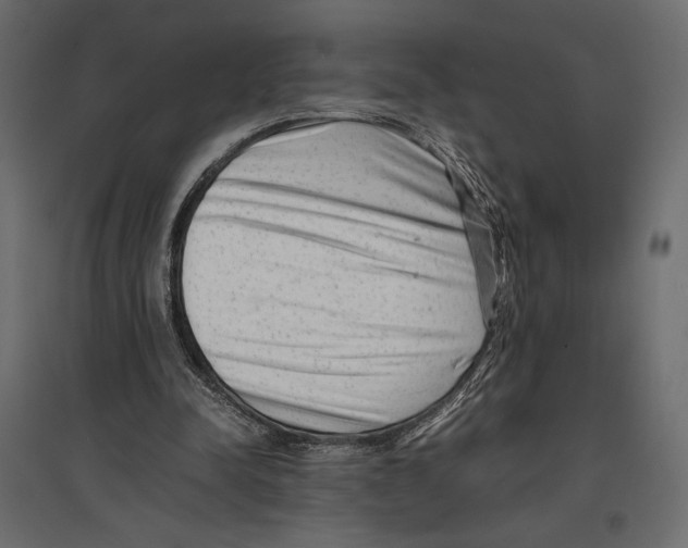 X0000097000342200803071122