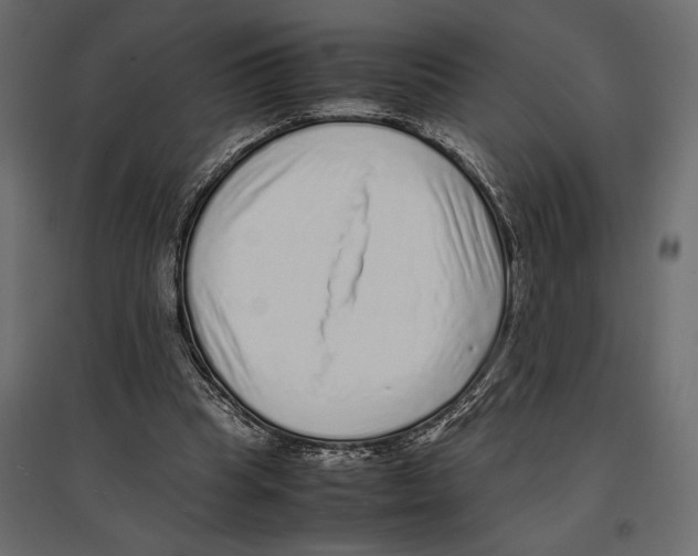 X0000097000345200803071122