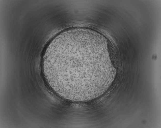 X0000097000346200803071122