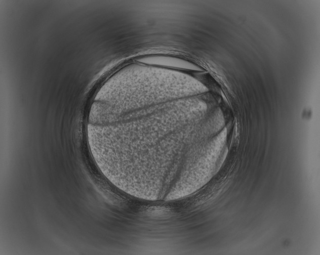 X0000097000348200803071123