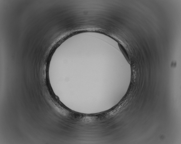 X0000097000350200803071123