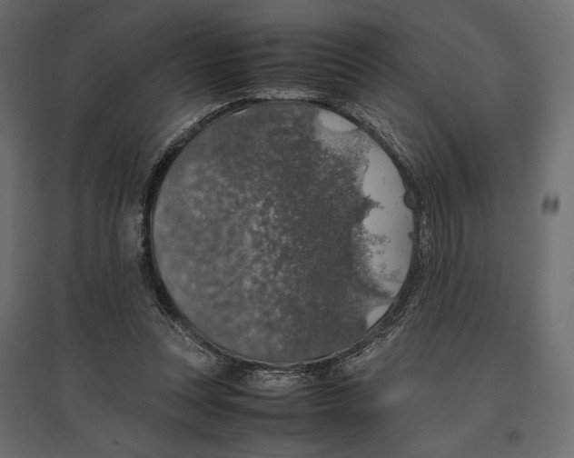 X0000097000351200803071123