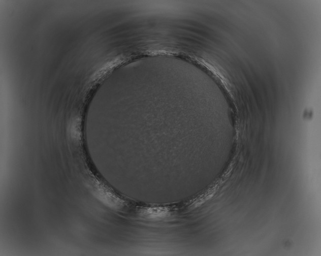 X0000097000353200803071123